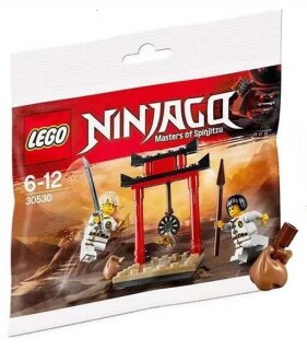 Ninjago Wu Cru Target Training Polybag 30530