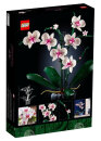 Orchidee 10311