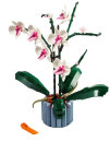 Orchidee 10311