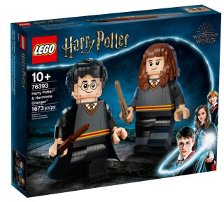 LEGO® Harry Potter™ & Hermine Granger™ 76393